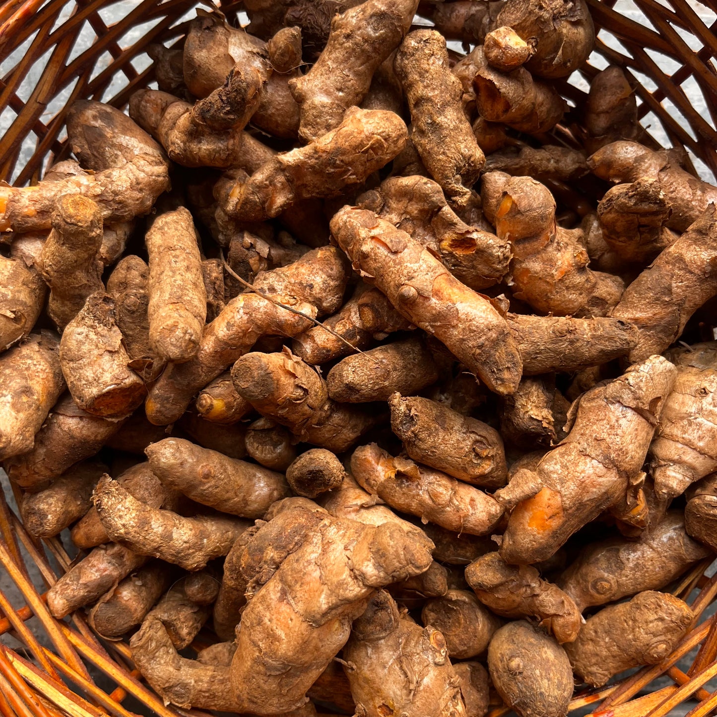 Turmeric Rizomes with Shoots (పసుపు దుంపలు) - 5 Dumpalu