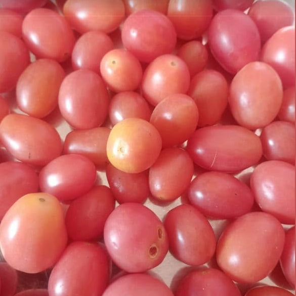 Pink Tomato Seeds