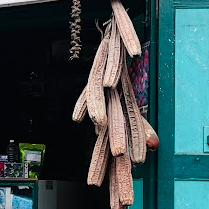 1.5 feet Beera Desi (5 seeds