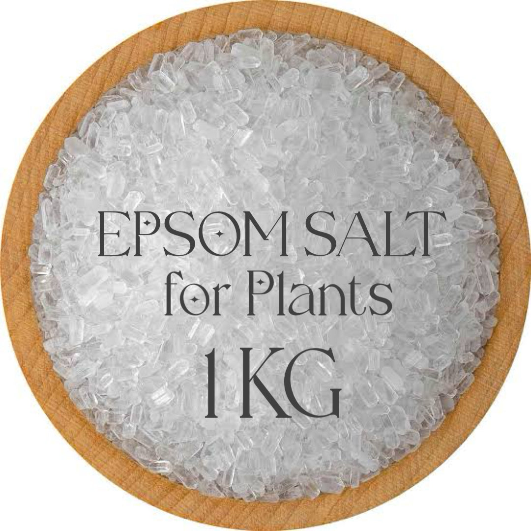 🧂 Epsom Salt – 1 Kg Pack Magnesium Sulfate for Plants | Boosts Green Growth | Improves Flowering