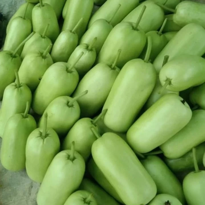 Cylindrical Bottle gourd