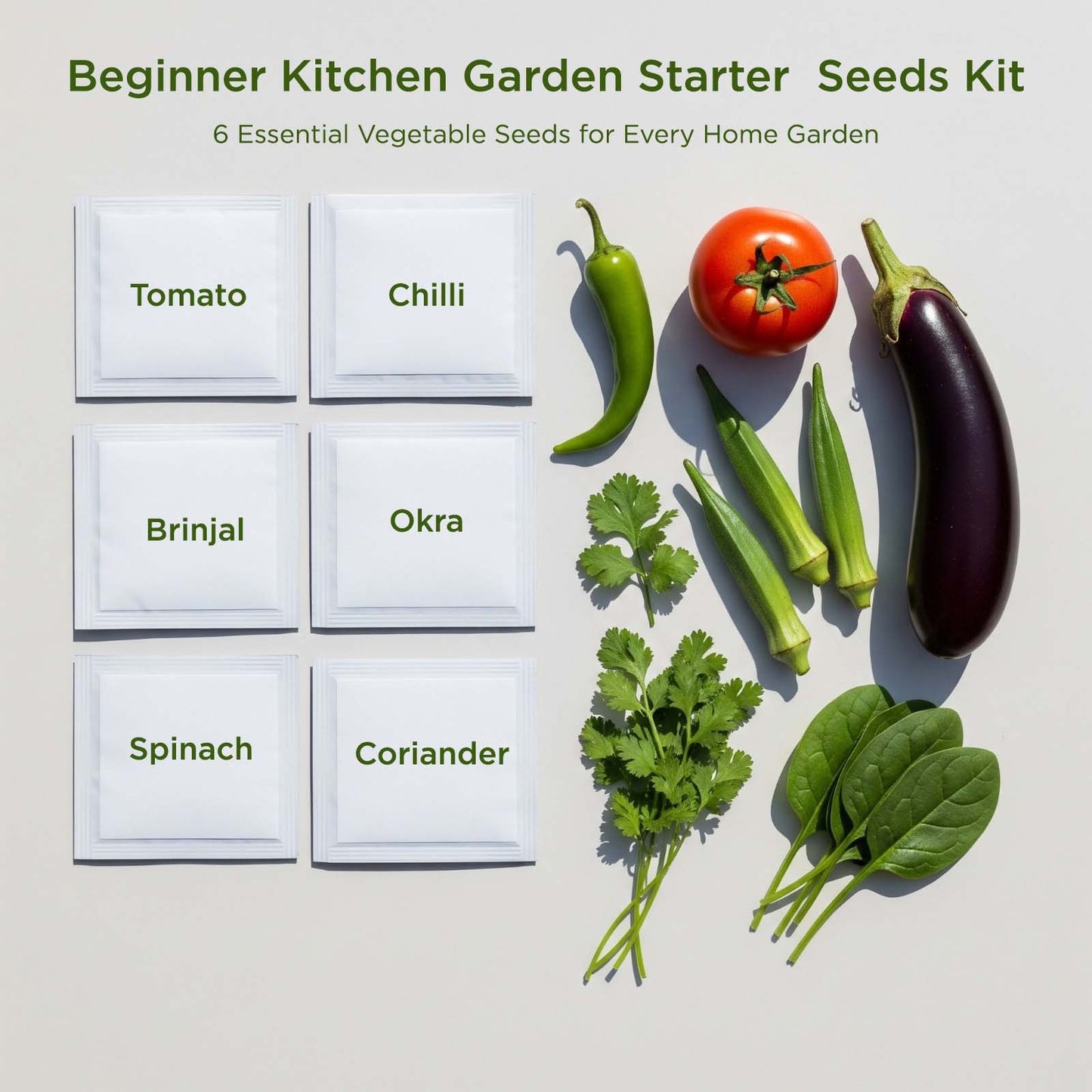 Beginner Kitchen Garden Starter Kit – ₹299
