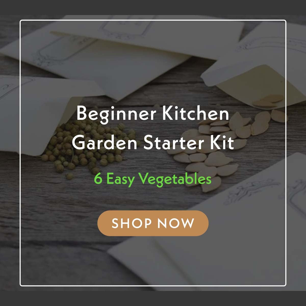 Beginner’s Kitchen Garden Starter Kit (Warm Season Friendly)
