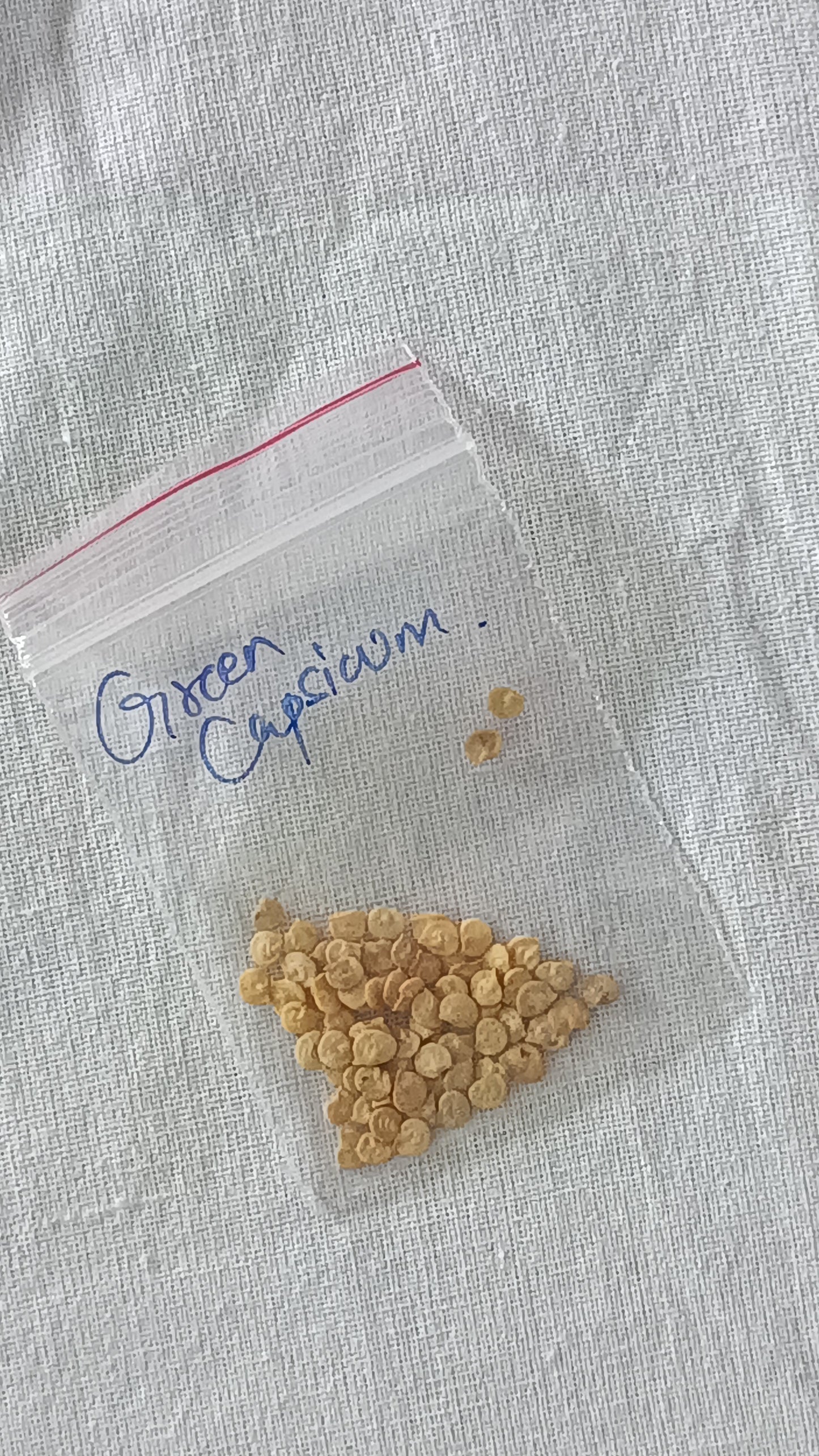 Green Capsicum Seeds