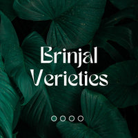 Brinjal verieties