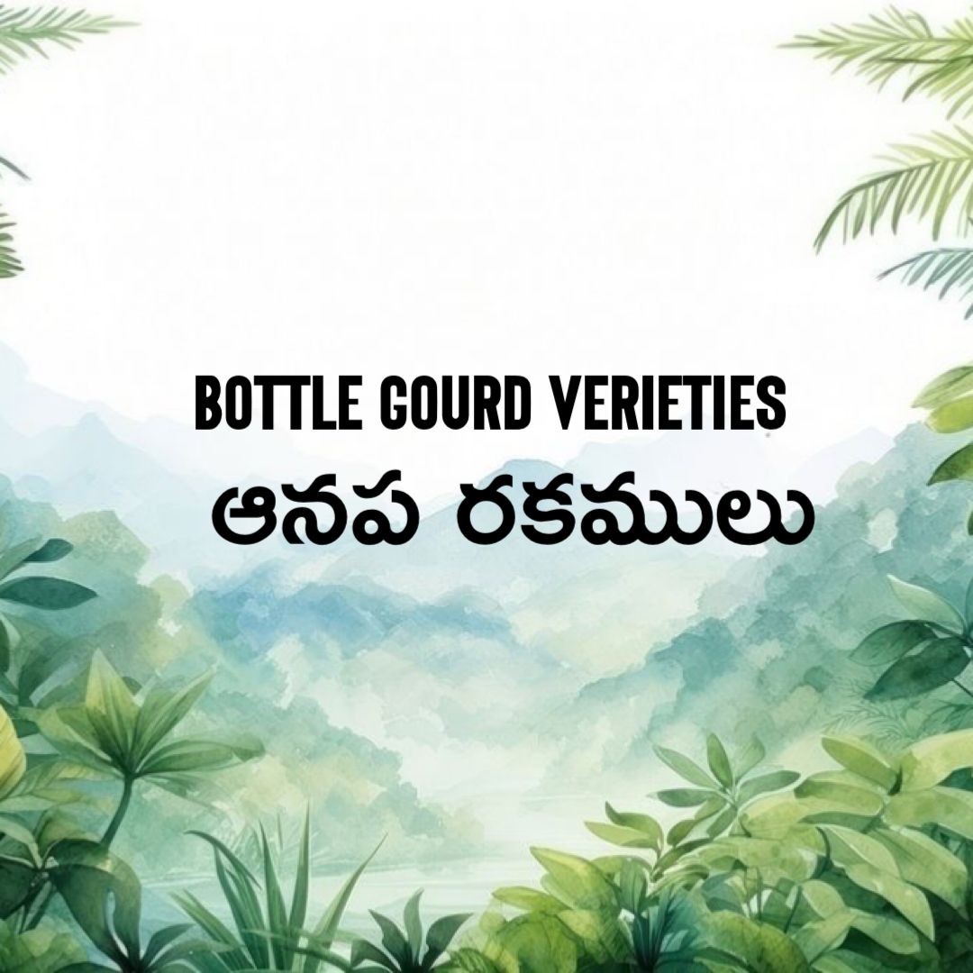 Bottle gourd verieties