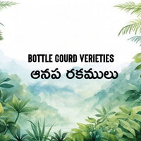 Bottle gourd verieties