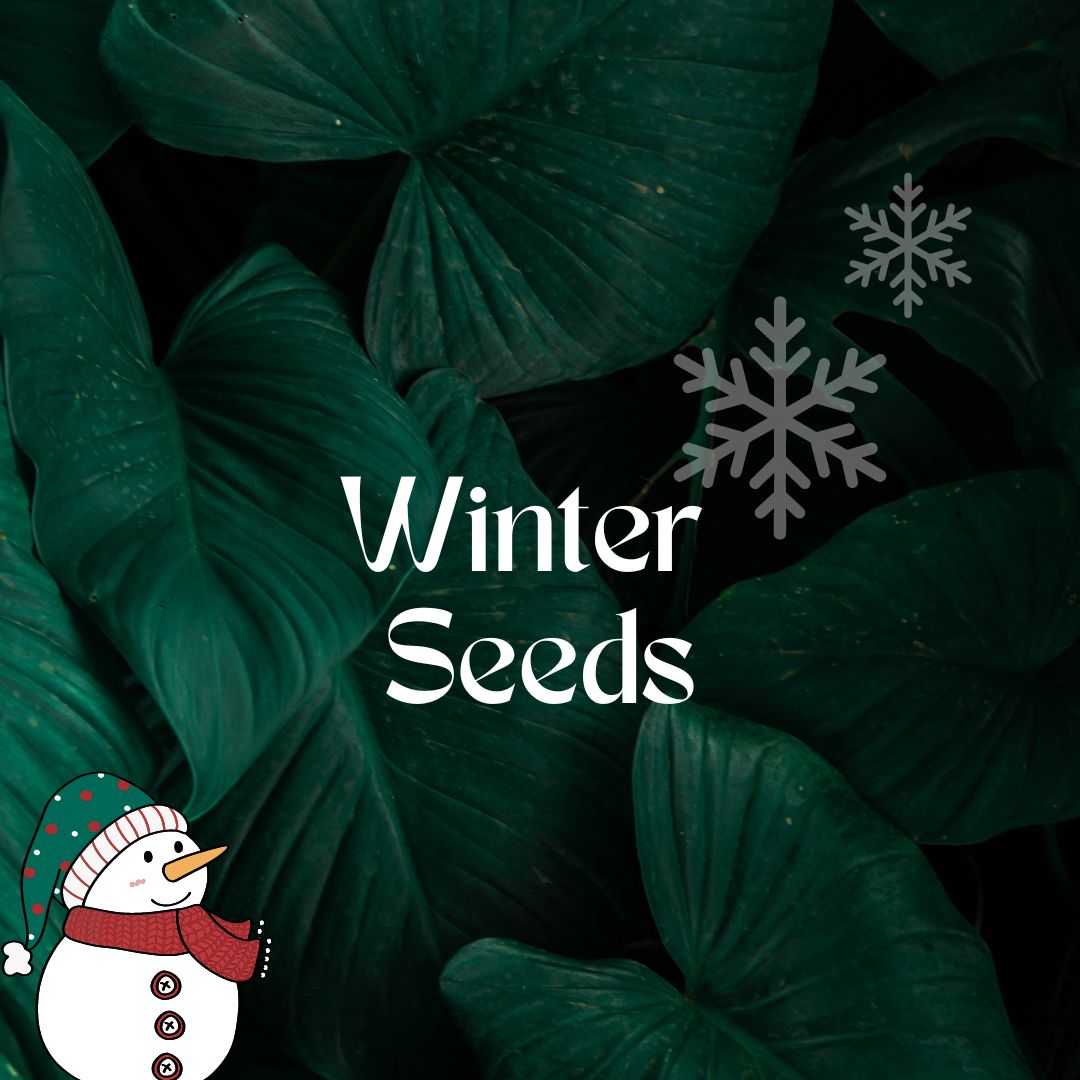 Winter Seeds