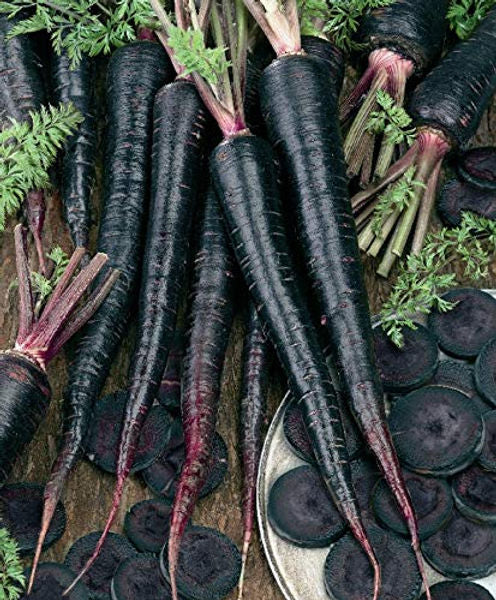Black carrot seeds