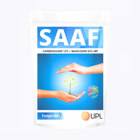 Saaf Fungicide 100 gms