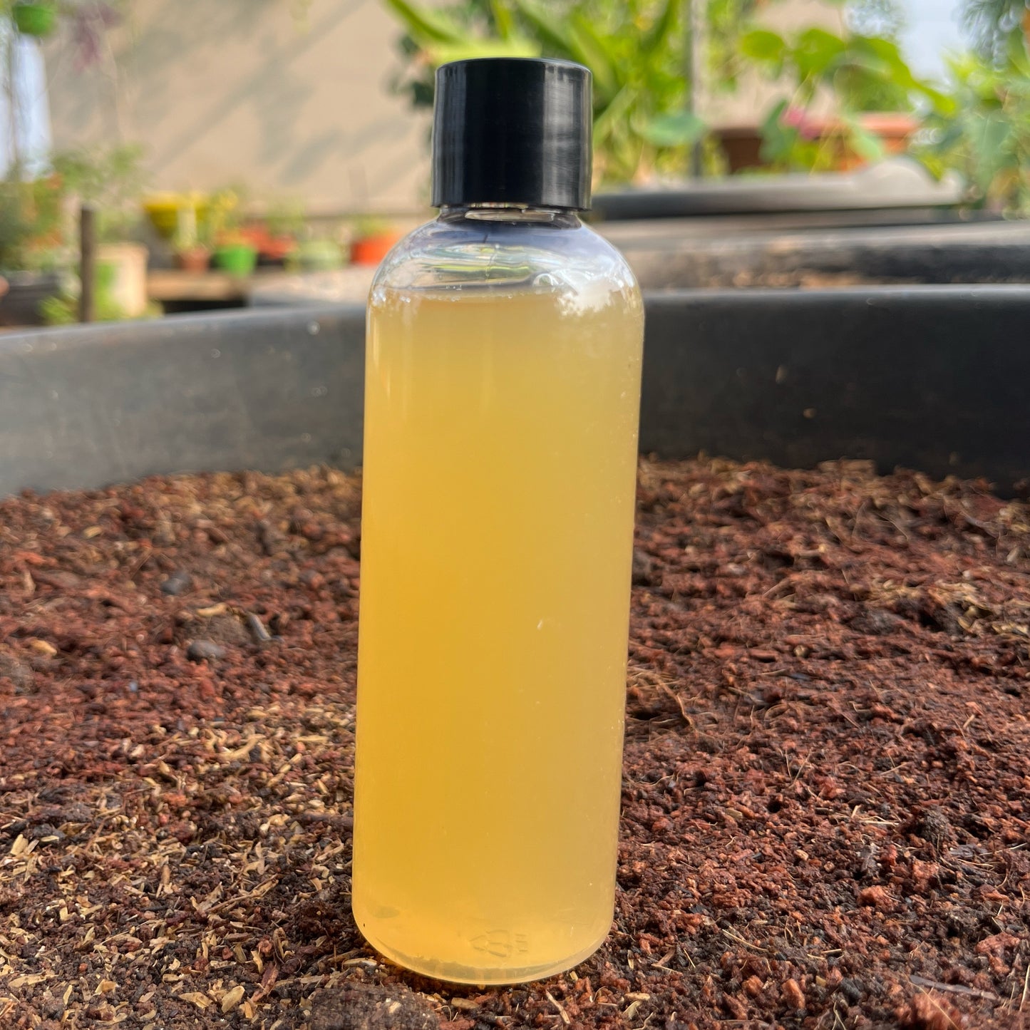 Fermentated Neem Oil 50ml