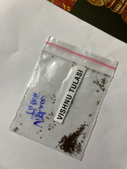 Vishnu Tulasi seeds