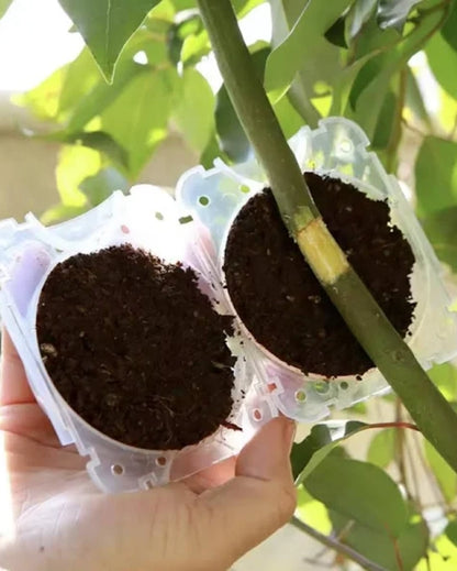 Rooting Balls for Plants