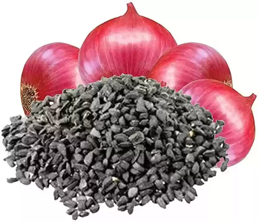 Onion Seeds