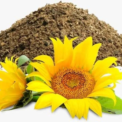 sunflower plant fertilizer π» Deoiled Sunflower Cake β 500g Pack Organic Plant Fertilizer