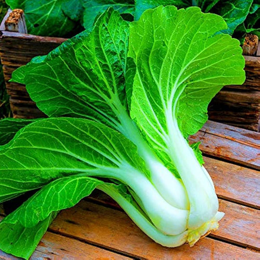 Pak Choi Hybrid Green Seeds – Grow Fresh Greens Year-Round!