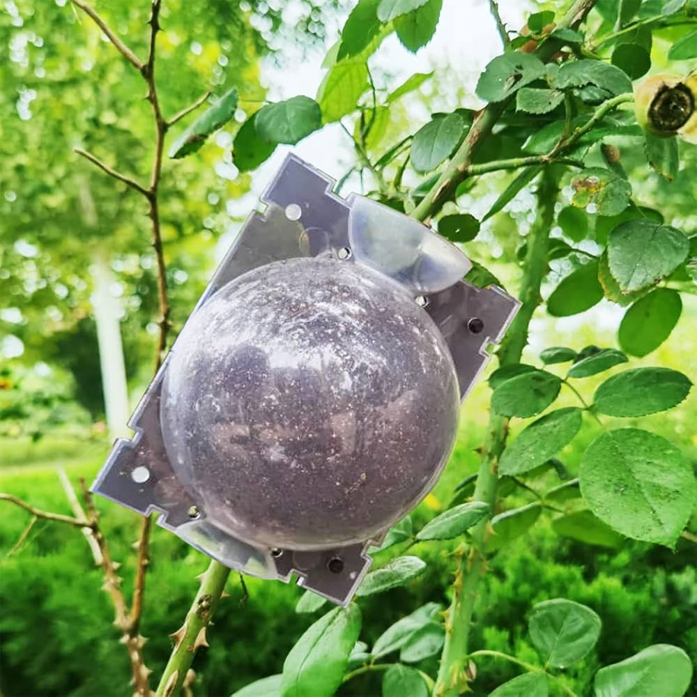Rooting Balls for Plants