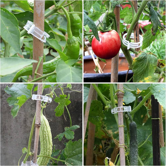 Tomato Trellis Clips (Pack of 10)