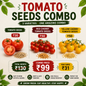 Tomato Seeds Combo – Red Cherry, Yellow Cherry & Tomato Seeds for Home Garden