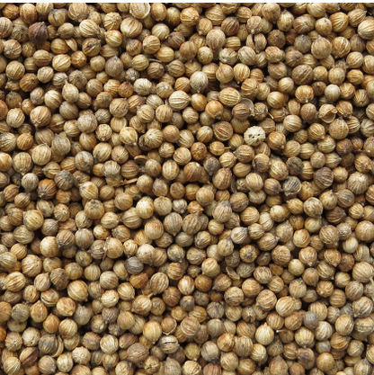 Corriander Seeds / Kottimeera