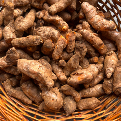 Turmeric Rizomes with Shoots (పసుపు దుంపలు) - 5 Dumpalu