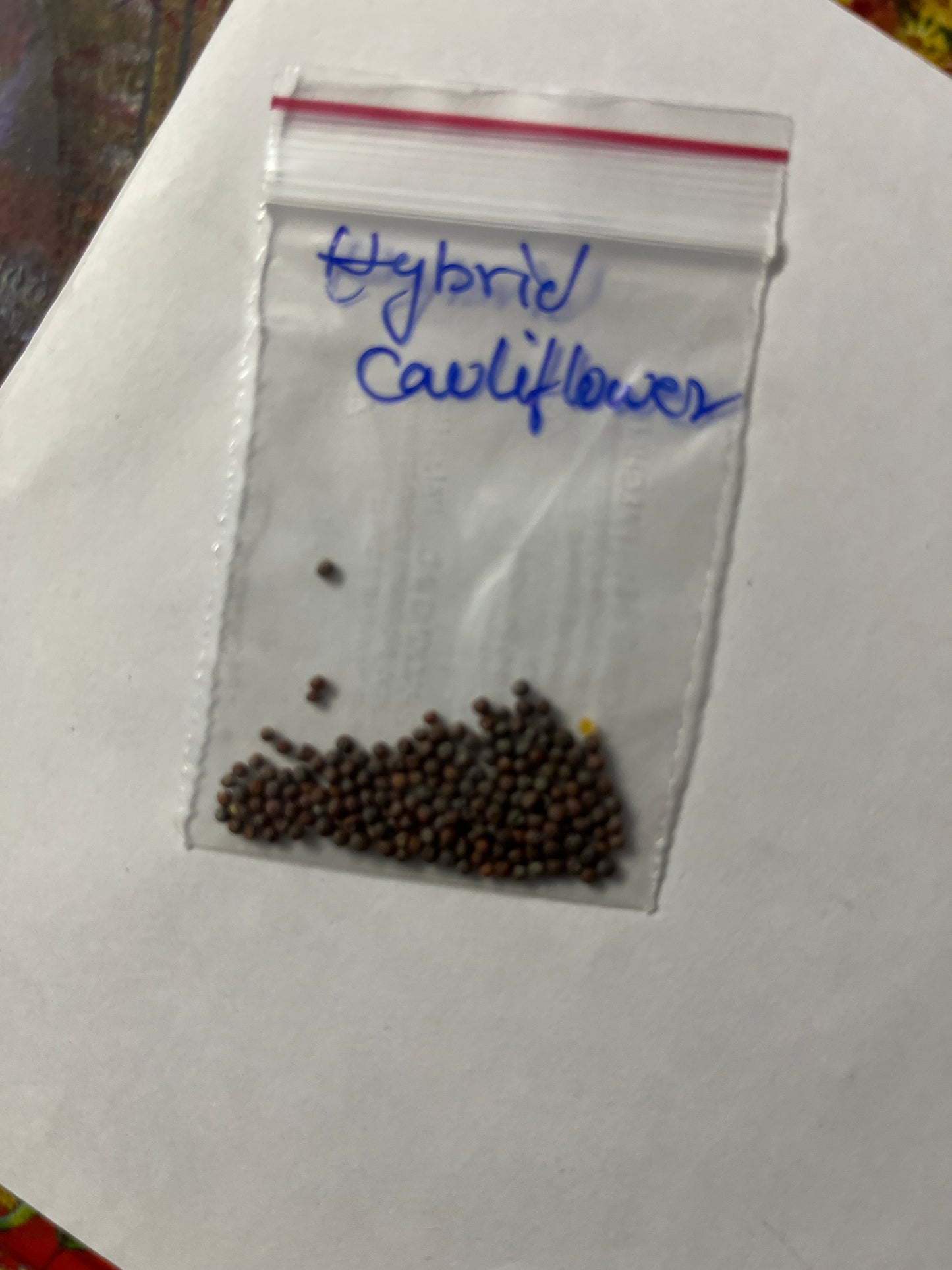 Cauliflower Seeds