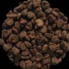 Gongura / Sorrel Seeds