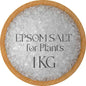 🧂 Epsom Salt – 1 Kg Pack Magnesium Sulfate for Plants | Boosts Green Growth | Improves Flowering