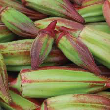 Red star okra