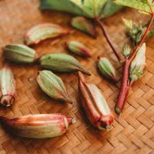 Red star okra