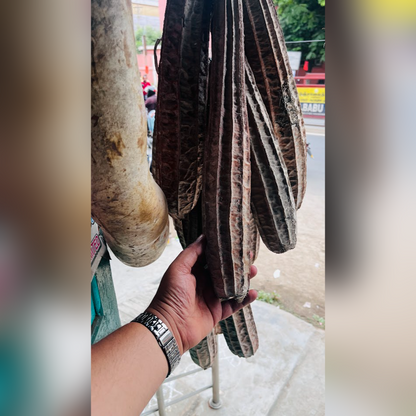 1.5 feet Beera Desi (5 seeds