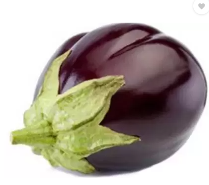 Big Round Brinjal Purple