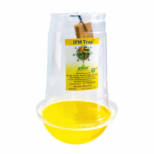 Fruit Fly Trap & Lure Combo