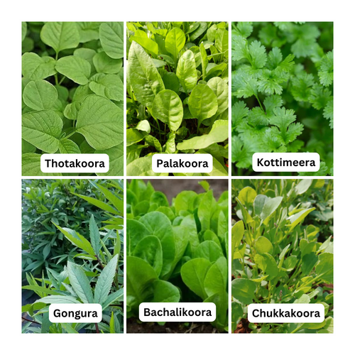 Leafy Veggies Combo