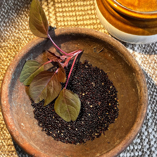 Red Amaranth Seeds / ఎర్ర తోటకూర