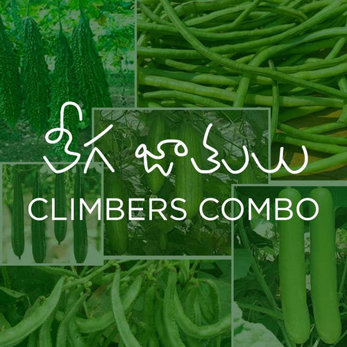 Creeper Veggies Combo: