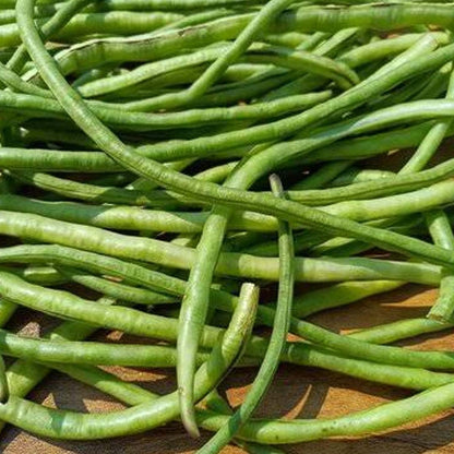 BARBATI (CowPea seeds)