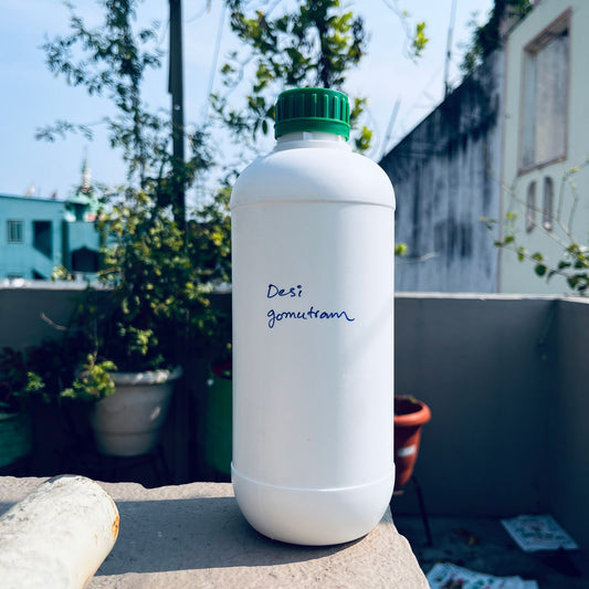 Pure Desi Gomutra – 1 L (1000ml) | Natural Growth Booster & Pest Repellent for Plants