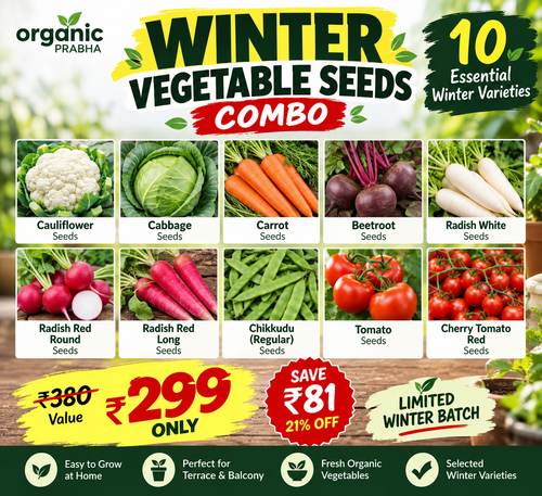 Winter Vegetable Seeds Combo – 10 Essential Winter Varieties