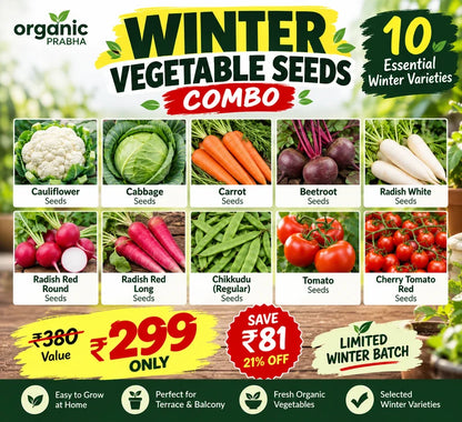 Winter Vegetable Seeds Combo – 10 Essential Winter Varieties