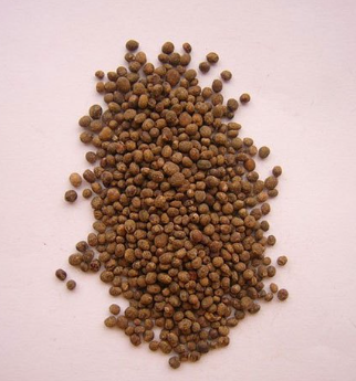 balsam flower seeds Balsam Flower 10 Seeds mixed – Organic Prabha Store