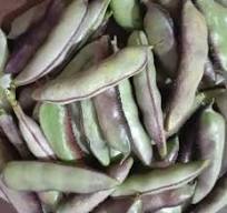 Kanupu Chikkudu Seeds