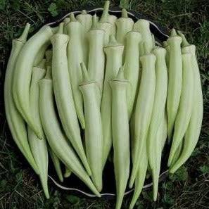 White Benda Seeds