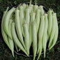 White Benda Seeds