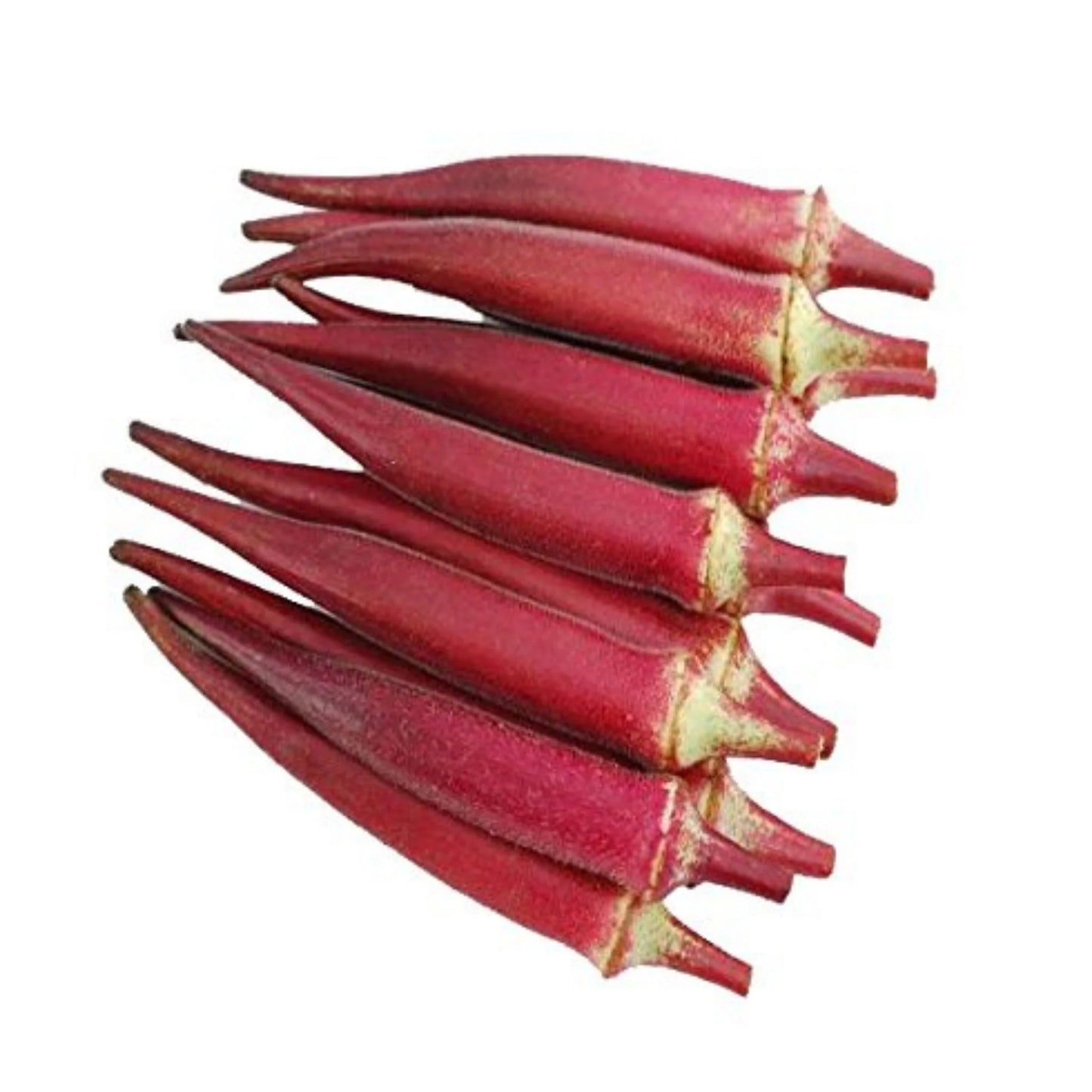 Red Bendi / Red Okra