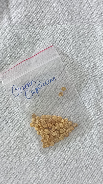 Green Capsicum Seeds